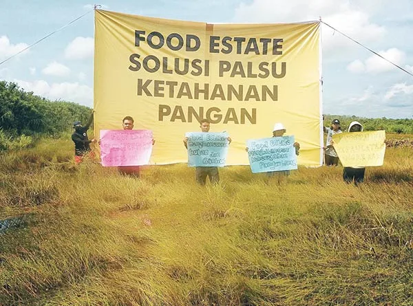 Walhi Sebut Food Estate Proyek Gagal, Anak Tirikan Petani Lokal